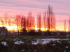 20150106_072821